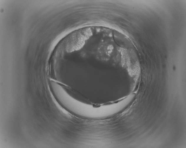 X0000066121519200604071859