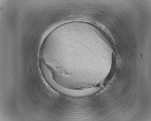 X0000066121520200604071859