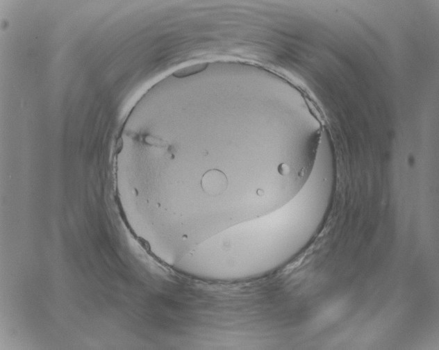 X0000066121524200604071859