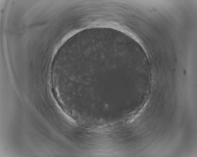 X0000066121525200604071859