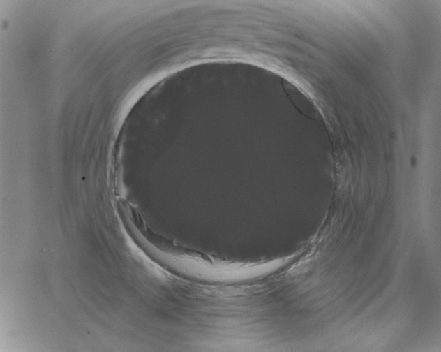 X0000066121527200604071859