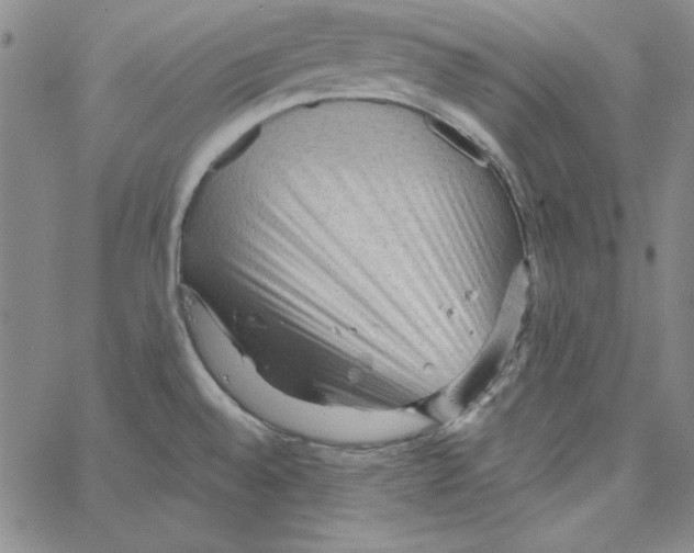 X0000066121528200604071859