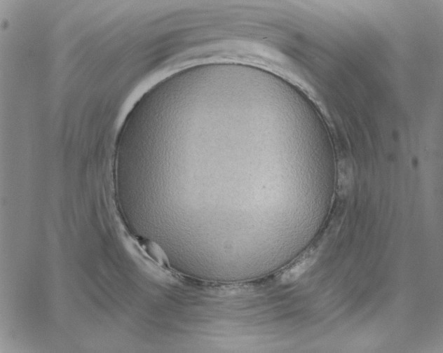 X0000066121530200604071859