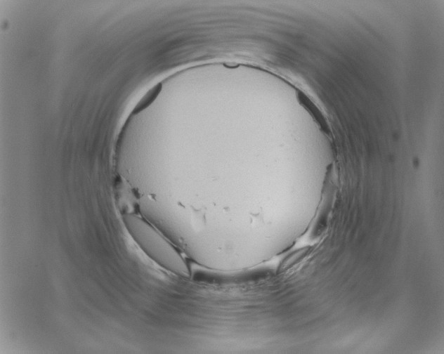 X0000066121532200604071859