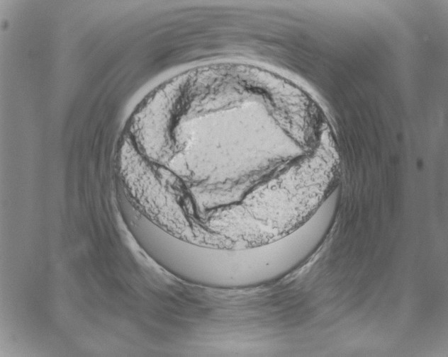 X0000066121534200604071859