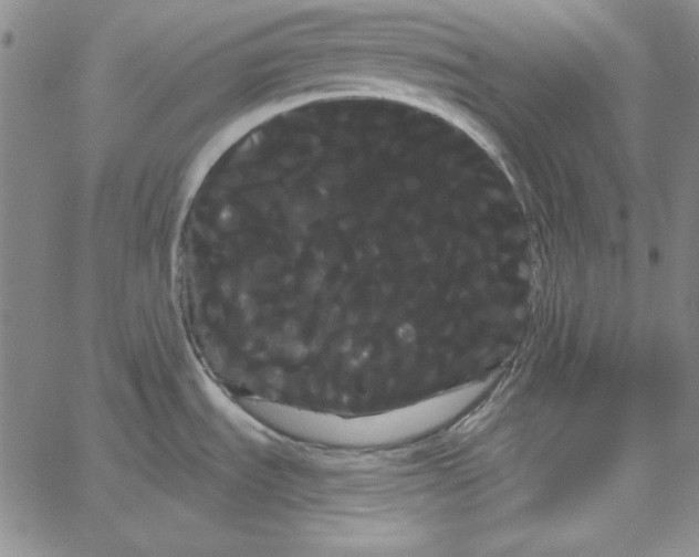 X0000066121535200604071859