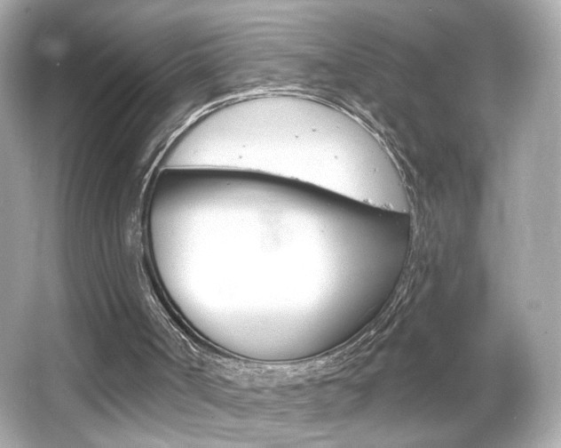 X0000066490002200603170936