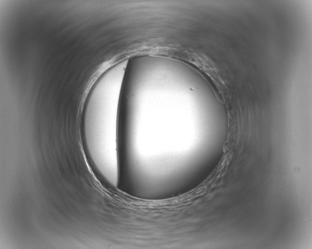 X0000066490003200603170936