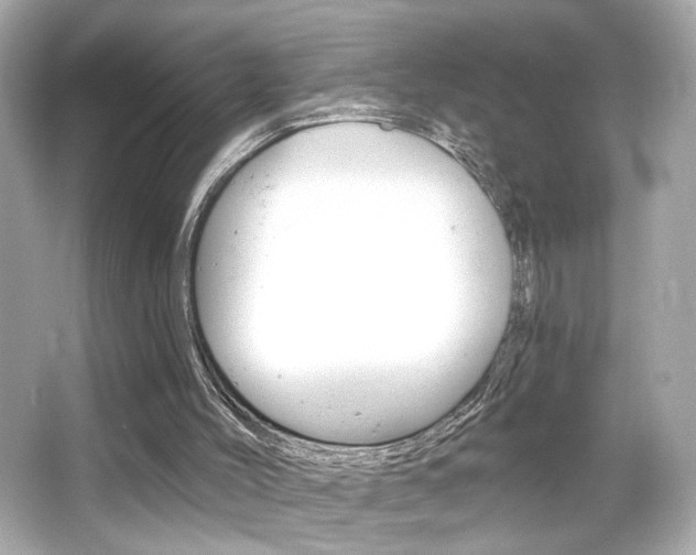 X0000066490004200603170936