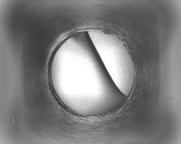 X0000066490006200603170936