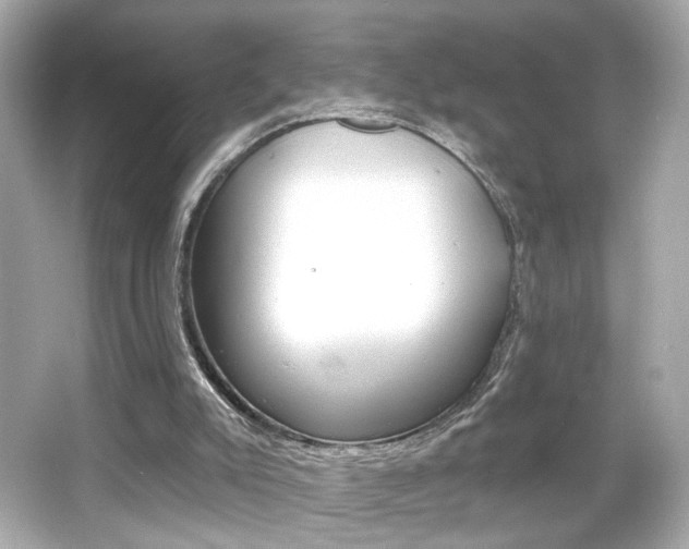 X0000066490007200603170936