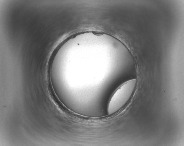 X0000066490008200603170936