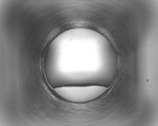 X0000066490010200603170936