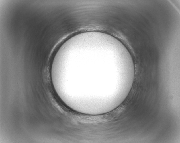 X0000066490012200603170936