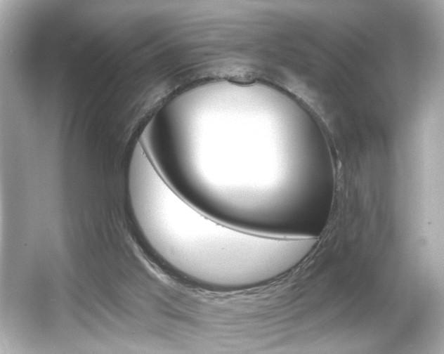 X0000066490013200603170936