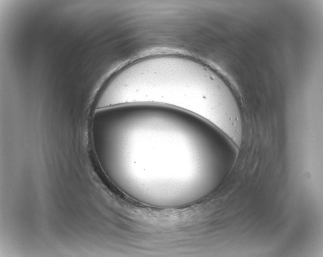 X0000066490015200603170936