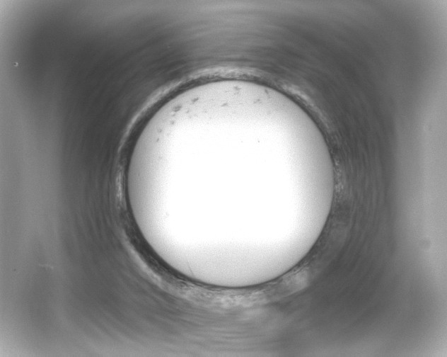 X0000066490016200603170936