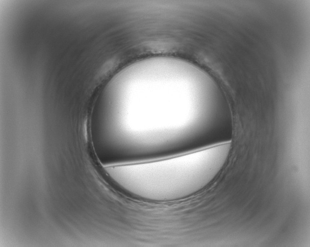 X0000066490019200603170936