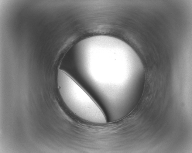 X0000066490020200603170935