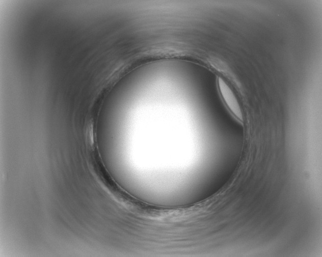 X0000066490021200603170935