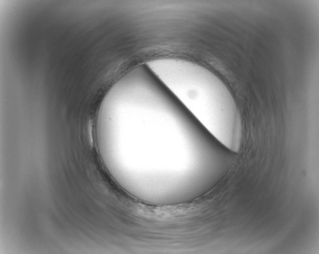 X0000066490022200603170935