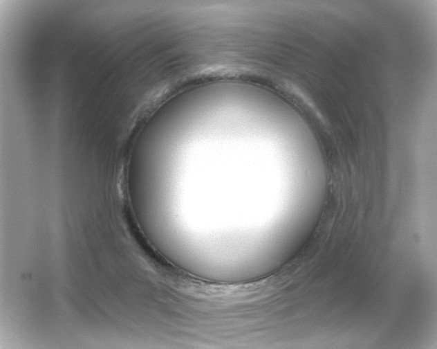 X0000066490023200603170935