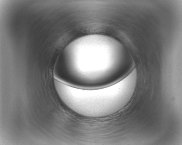 X0000066490025200603170935