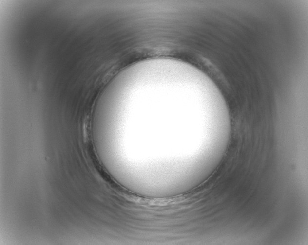 X0000066490026200603170935