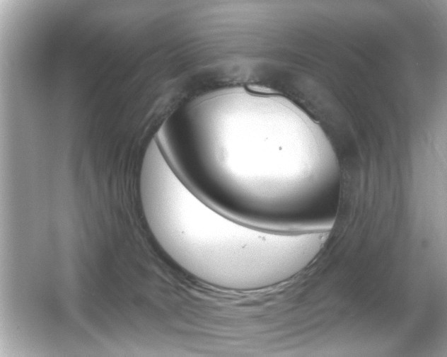 X0000066490035200603170935
