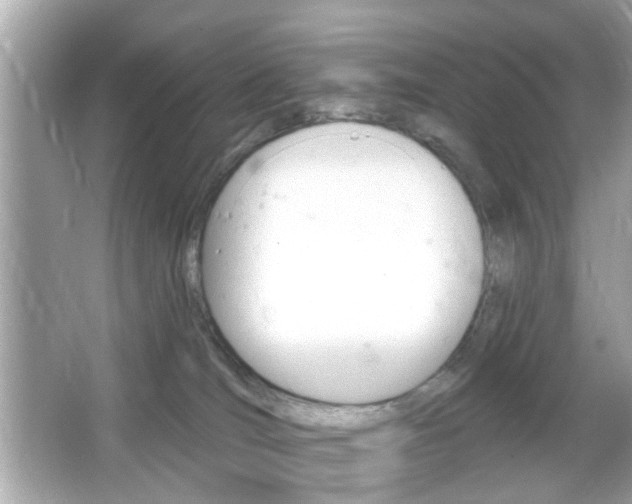 X0000066490036200603170935