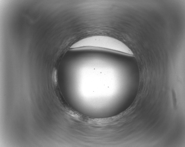 X0000066490041200603170935