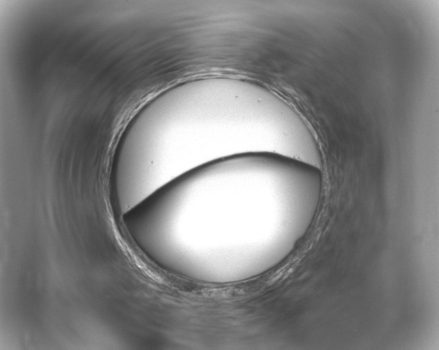 X0000066490049200603170934