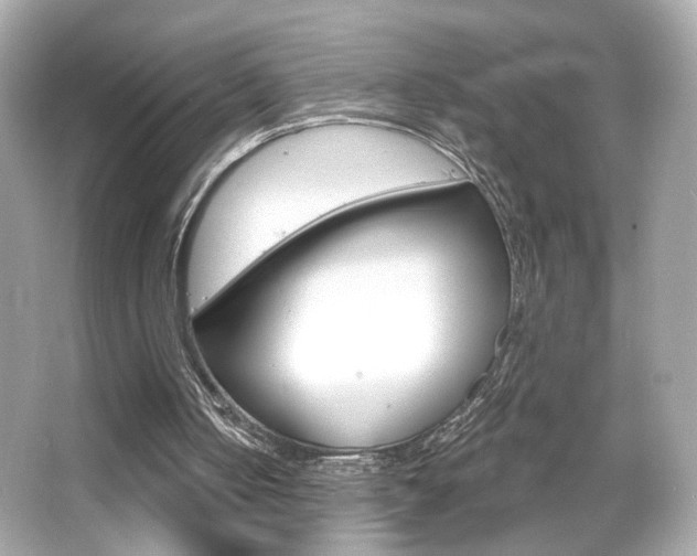 X0000066490050200603170934
