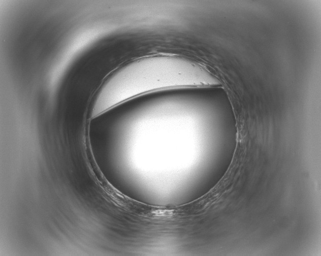 X0000066490052200603170934
