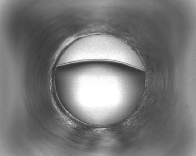 X0000066490054200603170934