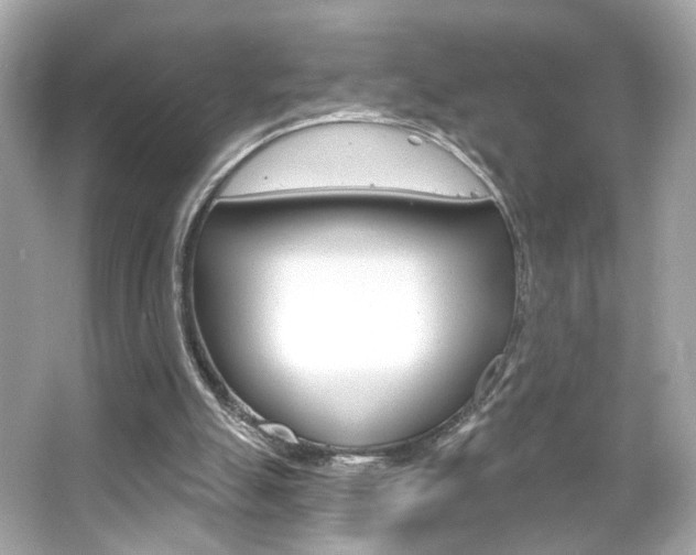 X0000066490055200603170934