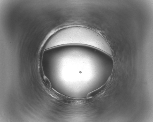 X0000066490056200603170934