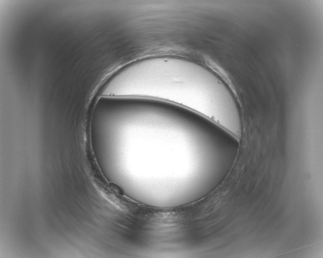 X0000066490059200603170934
