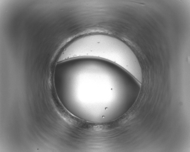 X0000066490064200603170934