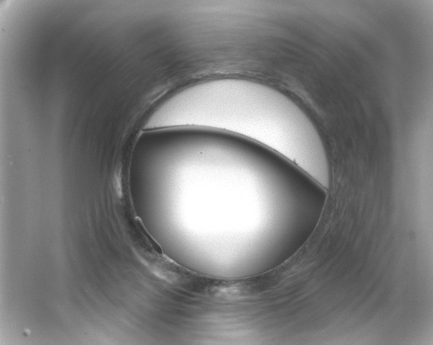 X0000066490068200603170935