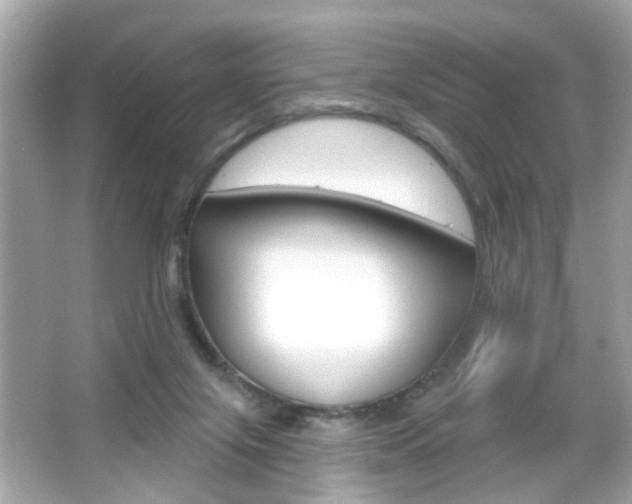 X0000066490071200603170935