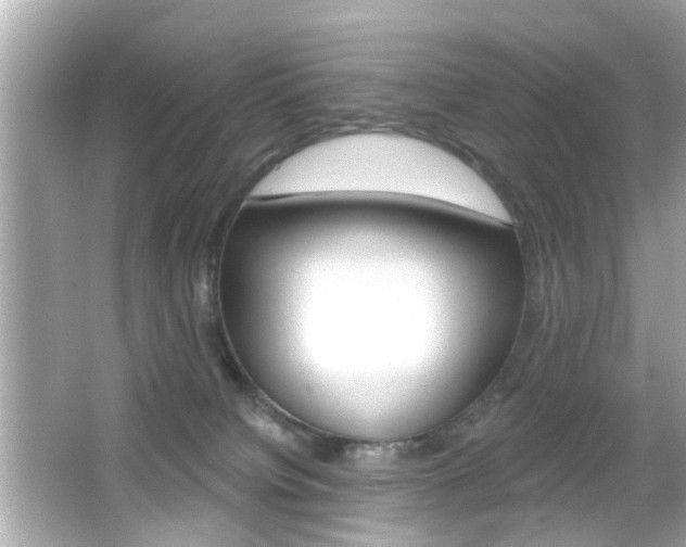 X0000066490084200603170935