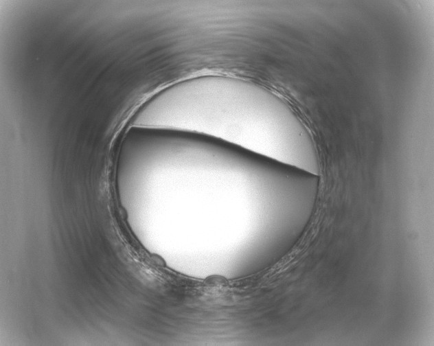 X0000066490098200603170934