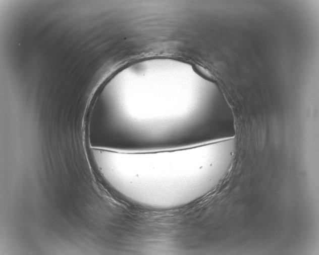 X0000066490100200603170934