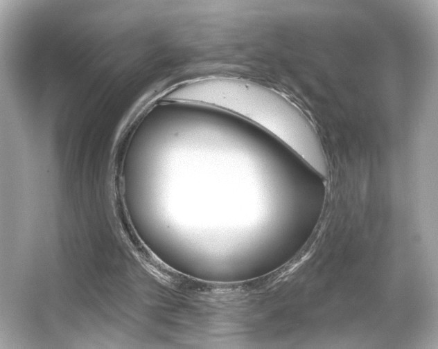 X0000066490101200603170934
