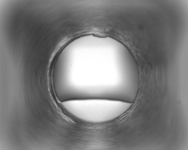 X0000066490102200603170934