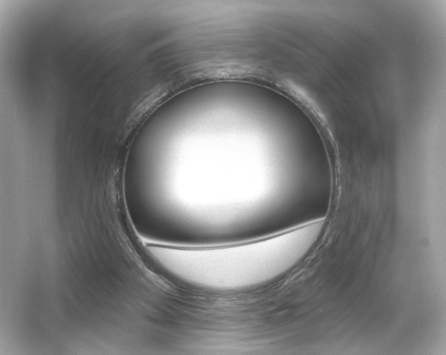 X0000066490105200603170934