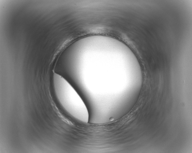 X0000066490106200603170934