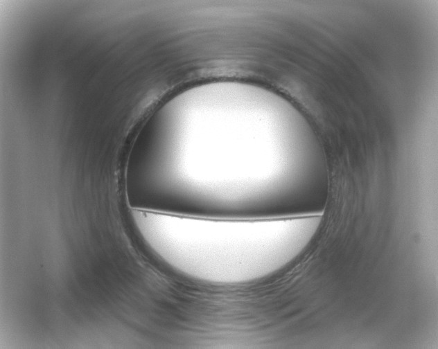 X0000066490111200603170934