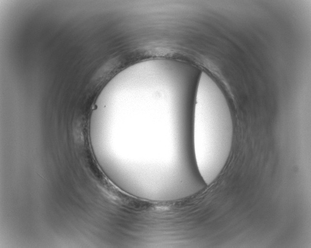 X0000066490114200603170934
